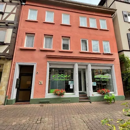 Apartment Getaway In Im Odenwald Nahe Heidelberg *